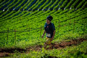 BIB: 
                            <button type="button" onclick="openModal(19160986)" class="btn btn-primary btn-sm float-right btn-popup" data-toggle="modal" data-target=".modal-high-quality">
                        <i class="fas fa-shopping-cart"></i> Add to Cart
                    </button>
                                            <button type="button" onclick="isThisMe(19160986, true)" class="btn btn-success btn-sm float-right btn-popup btn-isme hidden" data-toggle="tooltip" data-placement="bottom" title="นี่คือรูปของคุณใช่ไหม คลิกที่นี่เพื่อเอาเข้าอัลบั้ม">
                        <i class="fas fa-plus"></i> Add to album
                    </button>
                    <button type="button" onclick="isThisMe(19160986, false)" class="btn btn-warning btn-sm float-right btn-popup btn-isnotme hidden">
                        <i class="fas fa-ban"></i> Remove from album
                    </button>